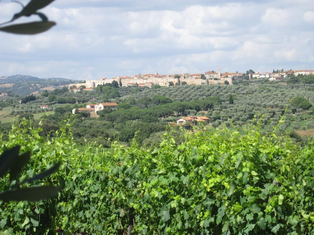 Villa Agriturismo La Carlina Magliano in Toscana Exterior foto