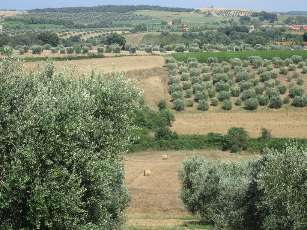 Villa Agriturismo La Carlina Magliano in Toscana Exterior foto