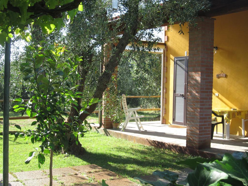 Villa Agriturismo La Carlina Magliano in Toscana Zimmer foto